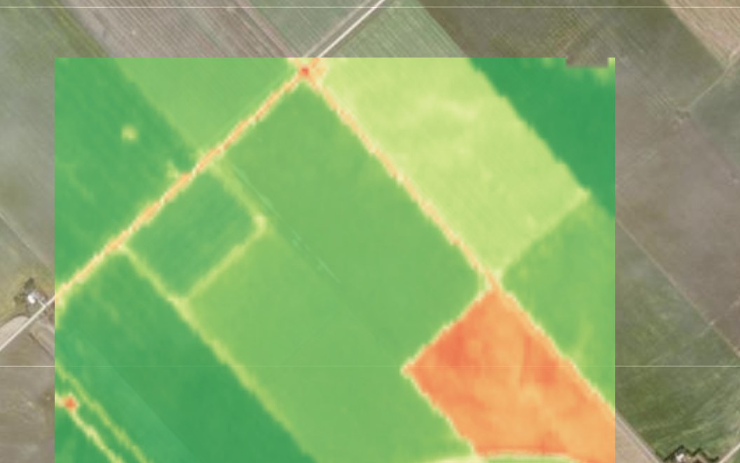 A field health map, ready about a minute after the boundary was drawn