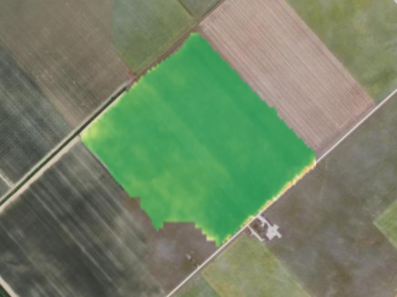 A whole field's per-pixel crop-health map, with the land around it
