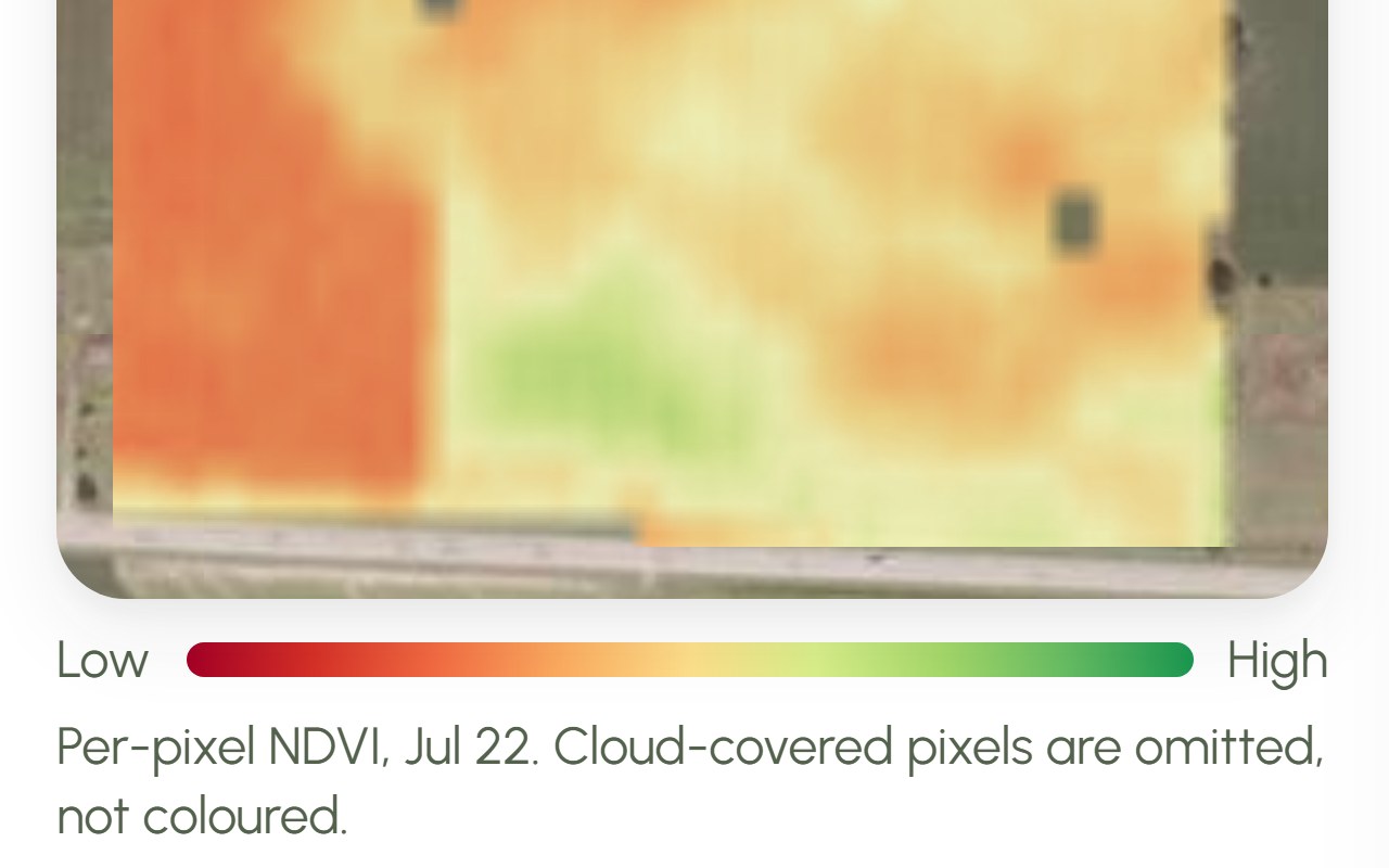 Sentinel-2 NDVI map of a field